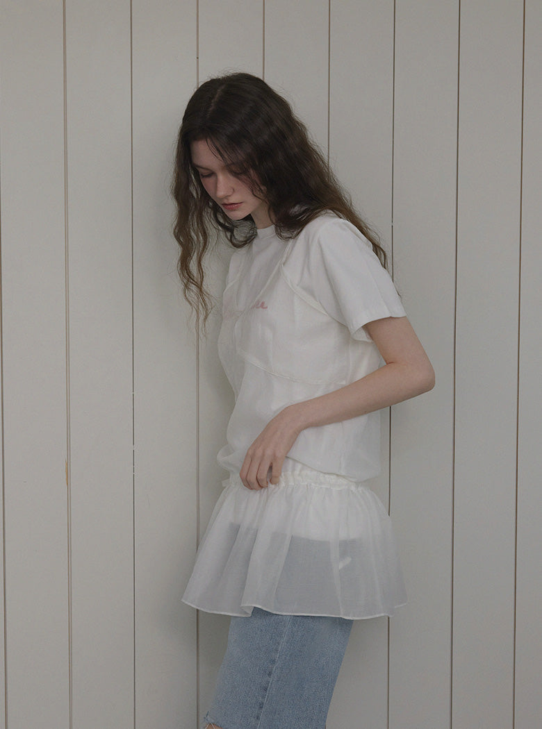 A Little Fun Layered Sheer Dress-1